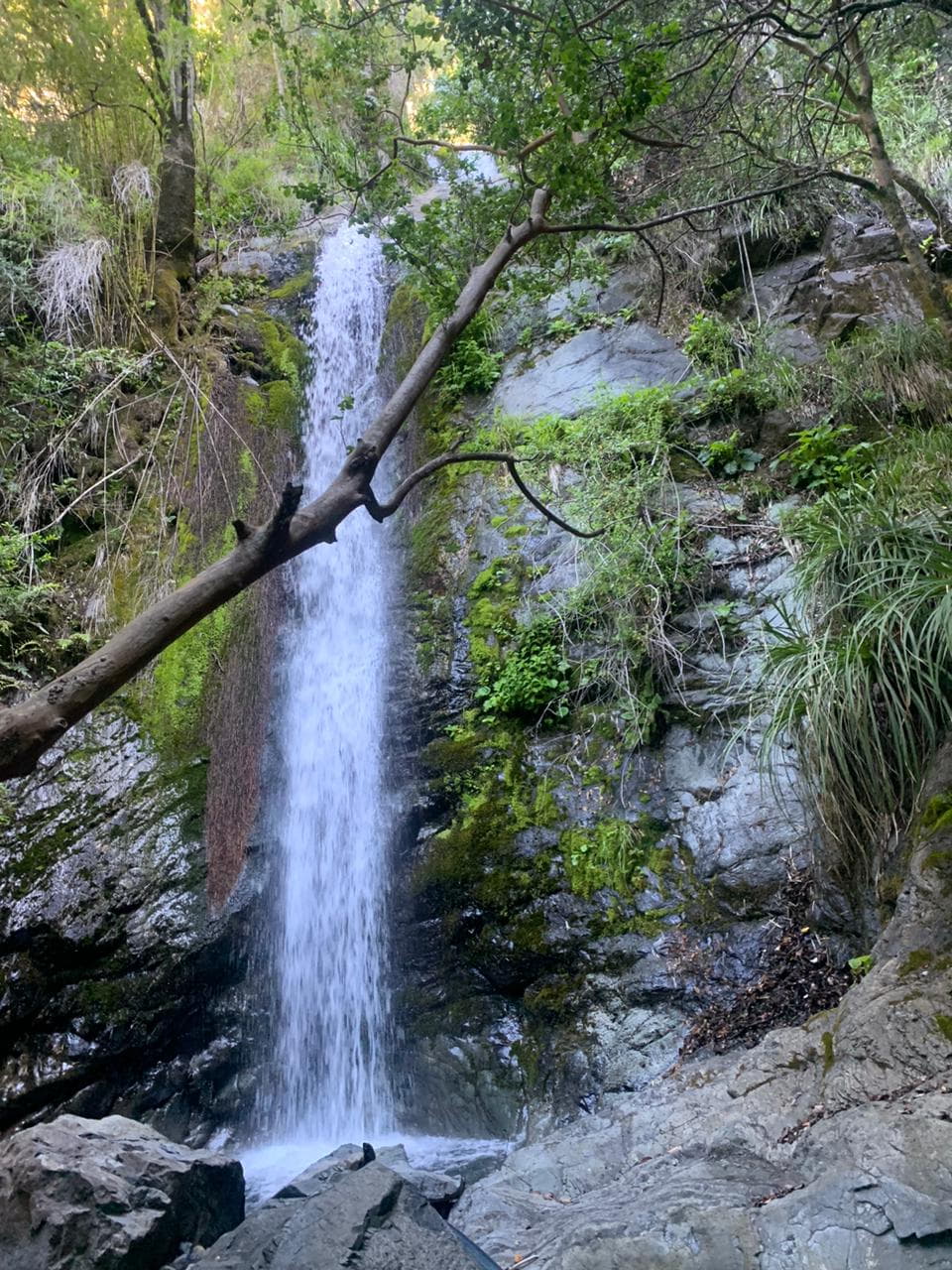Imagen de Cascadas El Mentrol